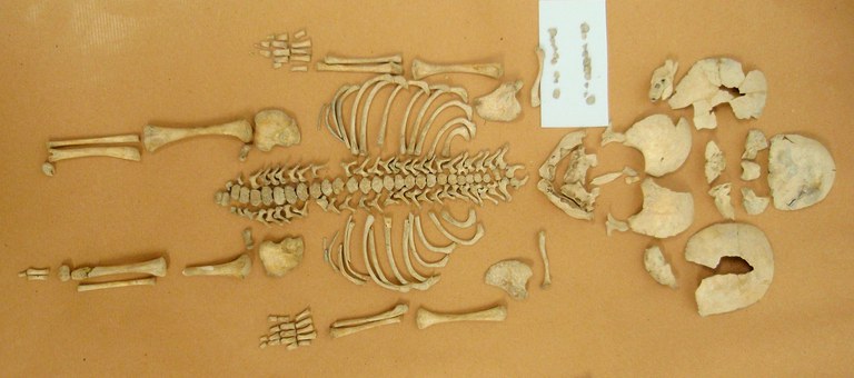 T4 8 or.JPG